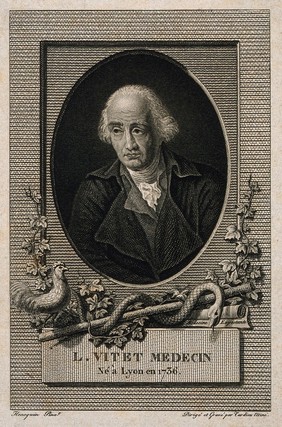 Louis Vitet. Line engraving by Tardieu, senior after P. A. Hennequin.