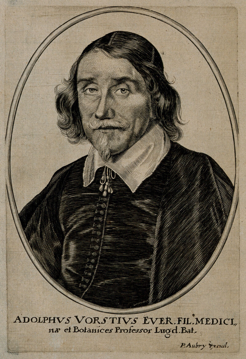 Adolphus Vorstius. Line engraving by P. Aubry after G. Petri., 1600-1699, by Pierre Aubry