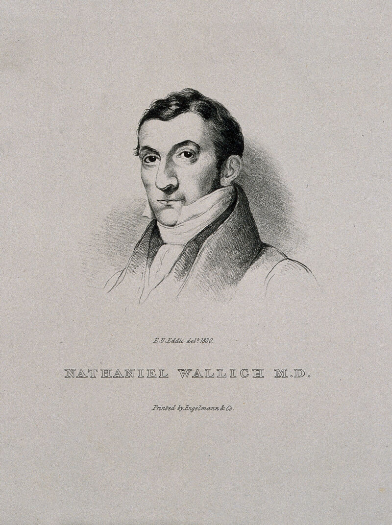 Nathaniel Wallich. Lithograph by E. U. Eddis, 1830., by Eden Upton Eddis