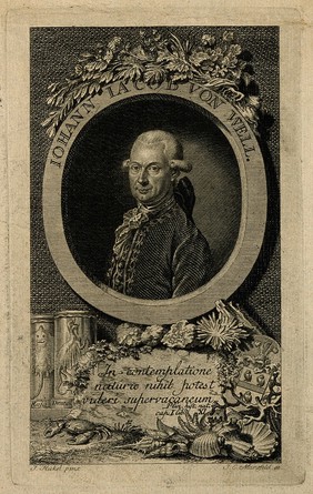 Johann Jacob von Well. Line engraving by J.E. Mansfeld after J. Hickel.