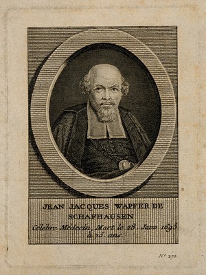 view Johann Jakob Wepfer. Line engraving.