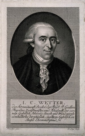 view J.C. Wetter. Line engraving by J. H. Lips after Schmutzer.