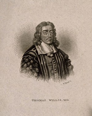 view Thomas Willis. Line engraving by W. Read after D. Loggan.