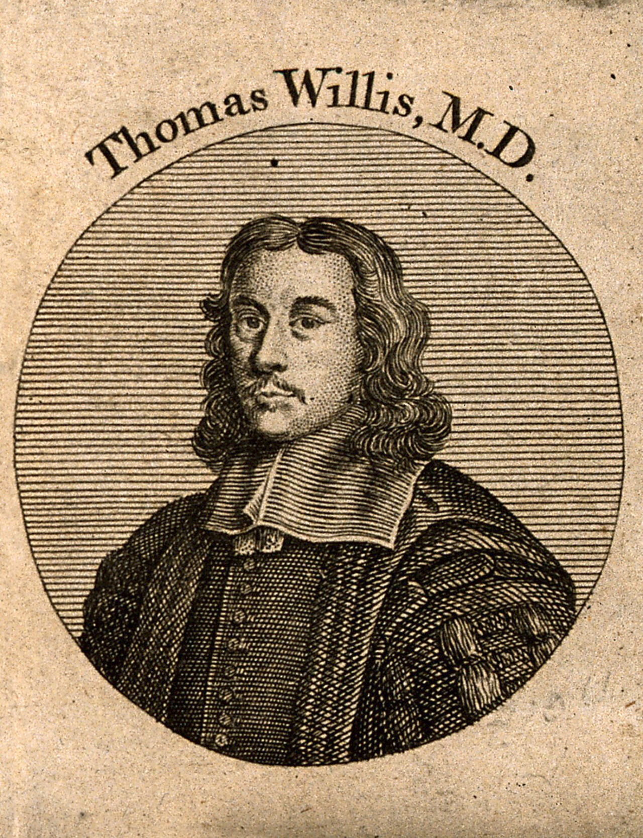 Thomas Willis. Line engraving after D. Loggan., by David Loggan