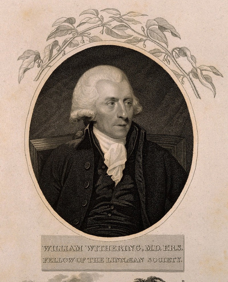 William Withering. Stipple engraving by W. Ridley, 1801, after C. F ...