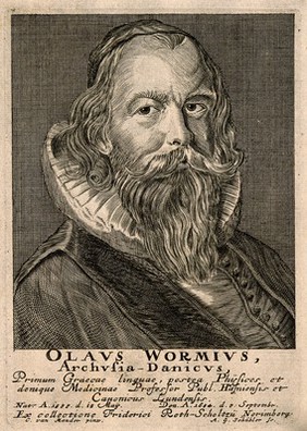 Ole Worm. Line engraving by A.G.I. Schübler.