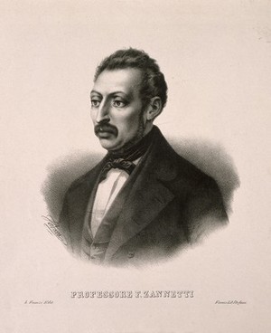 view Ferdinando Zannetti. Lithograph by N. Fontani.