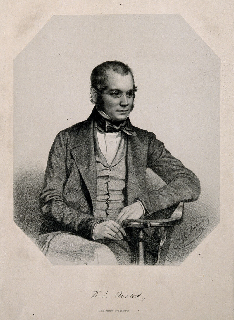 David Thomas Ansted. Lithograph by T. H. Maguire, 1850, after himself., 1850, by Thomas Herbert Maguire