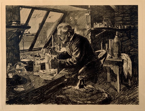 Yves Delage in his laboratory at Roscoff, ca. 1911. Photogravure after Mathurin Méheut.