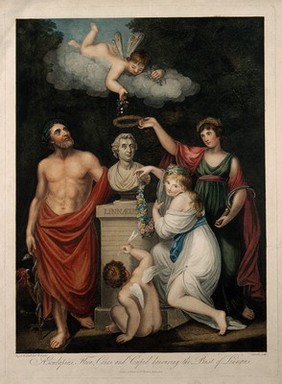 Carolus Linnaeus receives honour from Aesculapius, Flora, Ceres and Cupid. Coloured stipple engraving by J. Caldwall, 1806, after J. Russell and J. Opie.