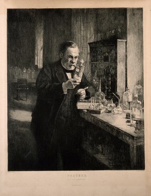 view Louis Pasteur. Etching by L. Orr after A. G. A. Edelfelt, 1885.