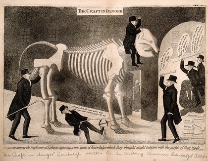 Dr Barclay's advocation to the proposed professorship of comparative anatomy supported and opposed: represented by him riding the skeleton of an elephant into the University of Edinburgh. Etching by J. Kay, 1817.