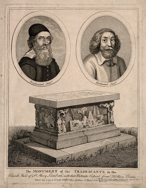 The Tradescants, father and son. Stipple engraving by N. Smith, 1793, after W. Hollar.