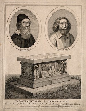 view John Tradescant I and John Tradescant II. Stipple engraving by N. Smith, 1793, after W. Hollar.
