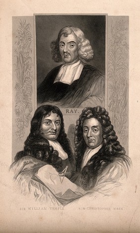 John Ray, Sir William Temple, and Sir Christopher Wren. Engraving.