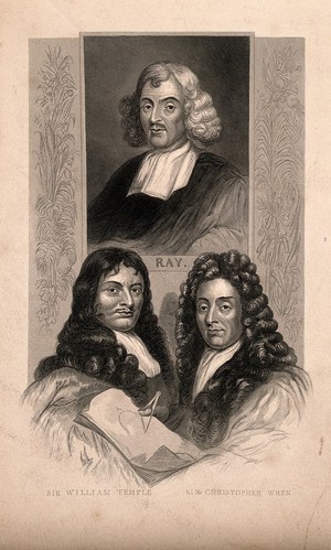view John Ray, Sir William Temple, and Sir Christopher Wren. Engraving.