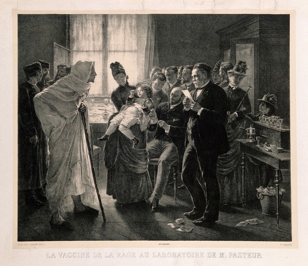 Rabies vaccination in Pasteur's laboratory in Paris. Lithograph by F. Pirodon, 188-, after L.-L. Gsell.