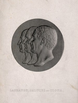 view J.-L. Lagrange, Saluces and G. F. Cigna. Line engraving by Petit.