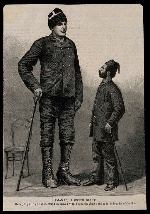 Amanab, a giant. Reproduction of wood engraving.
