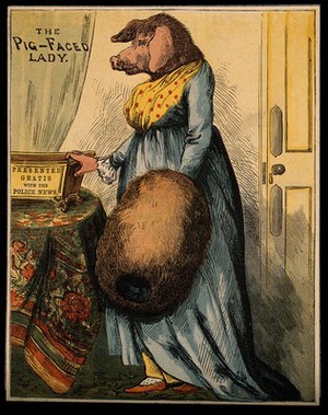 view Miss Atkinson, a woman with a pig's head. Coloured wood engraving.