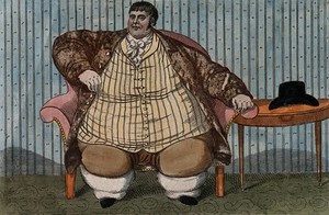 view Daniel Lambert, weighing over fifty stone, aged 36. Coloured etching.