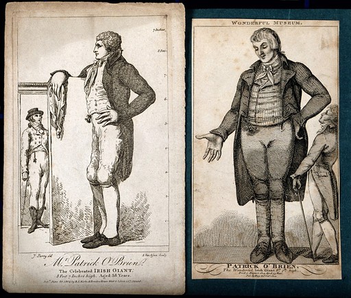 Patrick O'Brien, a giant. Engraving