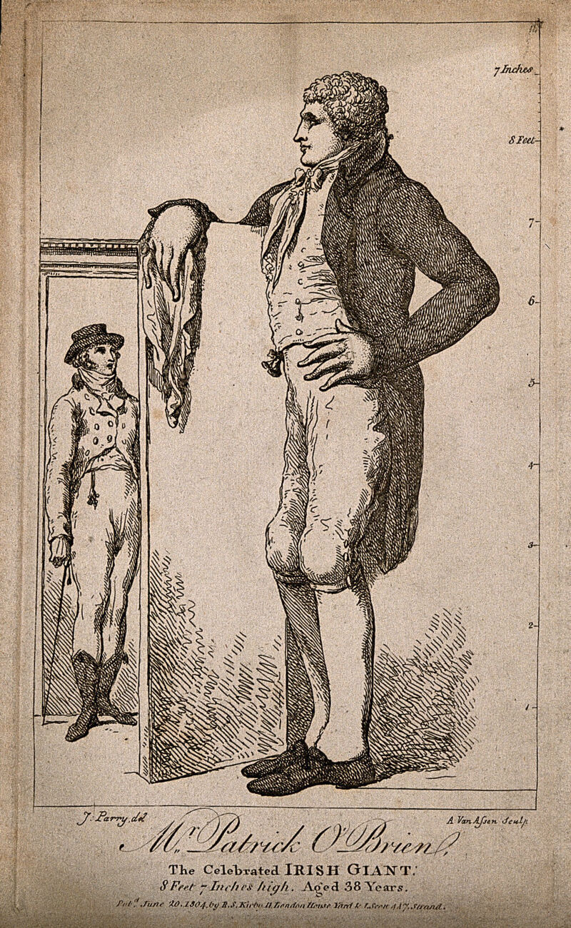 Patrick O'Brien, a giant. Etching by A. van Assen, 1804, after J. Parry., 20 June 1804, by Joseph Parry