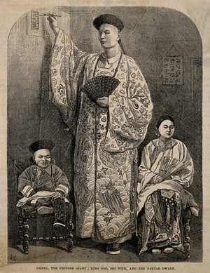 view Chang Yu-sing the Chinese giant, with his wife King-Foo,and Chung Mow, a dwarf. Wood engraving.