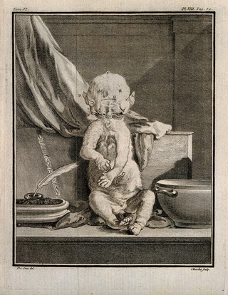 A cat born with two heads. Engraving by J. Chevillet, 1756, after J. De Sève.