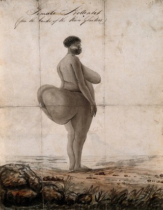 A "Hottentot" woman with prominent buttocks. Watercolour painting.