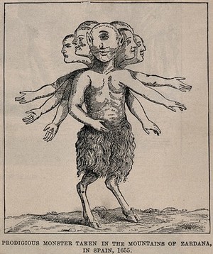 view A fantastic monster: a cyclops with multiple heads and arms and the legs of a goat, said to be found in Spain in 1655. Reproduction of a woodcut.