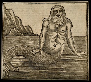 view A merman, by the sea. Woodcut.