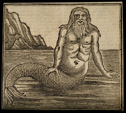 A merman, by the sea. Woodcut.