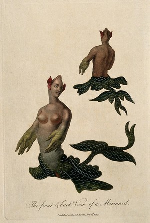 view A mermaid: anterior and posterior view. Coloured engraving, 1795.