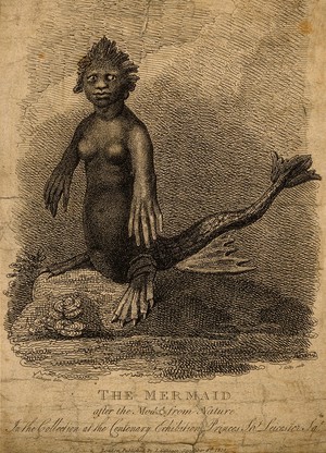 view A mermaid, situated on a rock. Etching by J. Godby, 1814, after L. Gahagan.