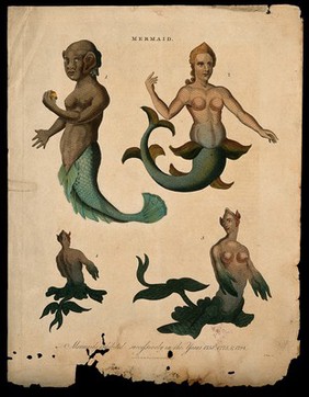 Three mermaids, one of them showing posterior and front view. Coloured engraving, 1817.