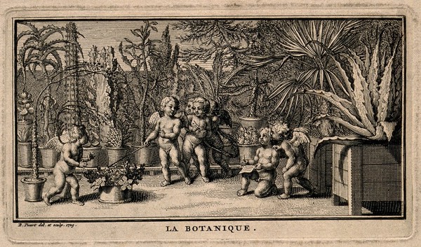 Putti study the plants in a botanical garden; representing botany. Etching by B. Picart, 1729, after himself.