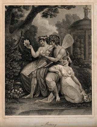 Three fairies in a garden looking at the plants; representing botany. Stipple engraving by J. Chapman after R. Corbould.