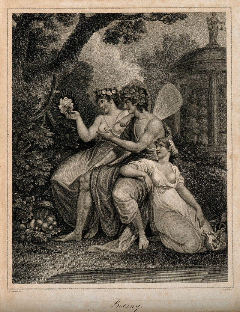 Three fairies in a garden looking at the plants; representing botany. Stipple engraving by J. Chapman after R. Corbould., by Richard Corbould