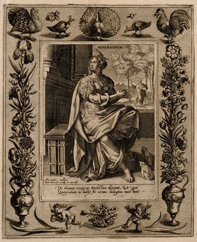 A woman with a bird on her head; representing dialectic. Engraving by A. Vallée after M. de Vos.
