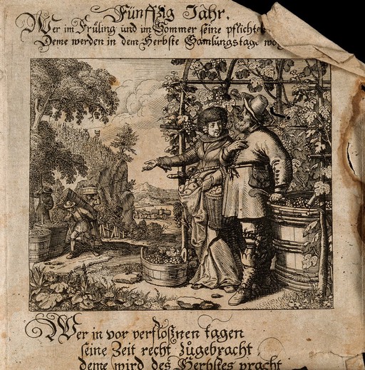 A man and a woman in a vineyard in autumn; representing the benefits of the fiftieth year of life. Engraving.