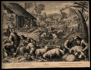 view Sheep are sheared and wheat is reaped; representing summer. Etching, 17--, after F.G. Bassano the younger.