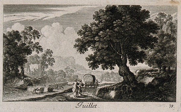 A field being harvested; representing July. Etching by G. Perelle, c. 1660.