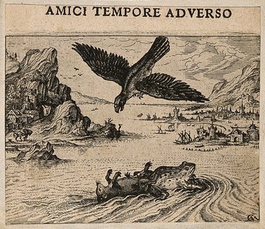 A bird of prey prepares to swoop on a mouse and a frog in water; illustrating Aesop's fable of the frog and the mouse. Etching by C. Murer after himself, c. 1600-1614.