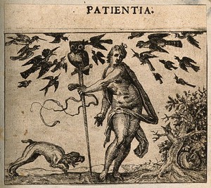 view Birds attacking an owl resting upon a staff held by a naked woman; representing patience. Etching by C. Murer after himself, c. 1600-1614.