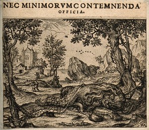 view A mouse nibbles through a net in which a lion is caught; illustrating Aesop's fable. Etching by C. Murer after himself, c. 1600-1614.