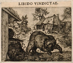 view A bear overturns a barrel and is stung by bees; representing Aesop's fable. Etching by C. Murer after himself, c. 1600-1614.