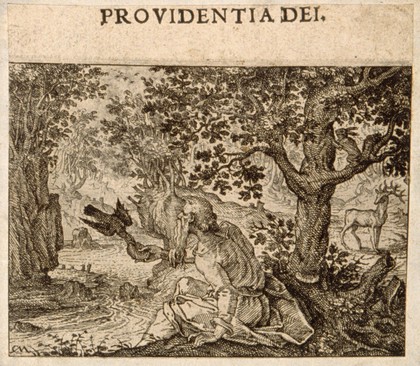 The prophet Elias fed by a raven; representing providence. Etching by C. Murer after himself, c. 1600-1614.