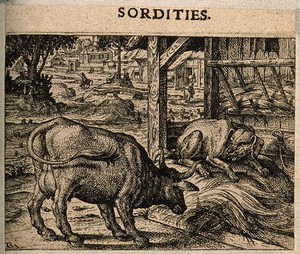 view A dog resting on a bull's straw; representing Aesop's fable. Etching by C. Murer after himself, c. 1600-1614.