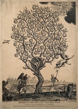 A withered tree bearing apples labelled with sins; representing the life of the base, 'natural' man. Etching, 1771, after J. Bakewell.